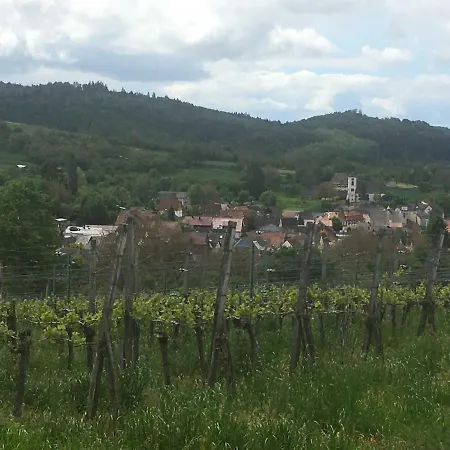 Breig,s Broggingen